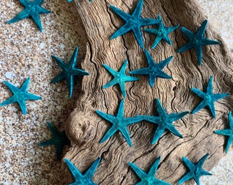 Blue Tiny Starfish .75-1&quot; - Starfish - Craft Supplies - Beach Decor - Beach Decor - Small Starfish - Star fish