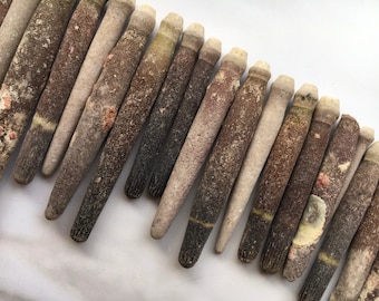 Sea Urchin Spines - Spine - Urchins - Crafts - Crafting Supplies - Decor - Sea Urchin - Sea Shell - Spines - Urchin Spines