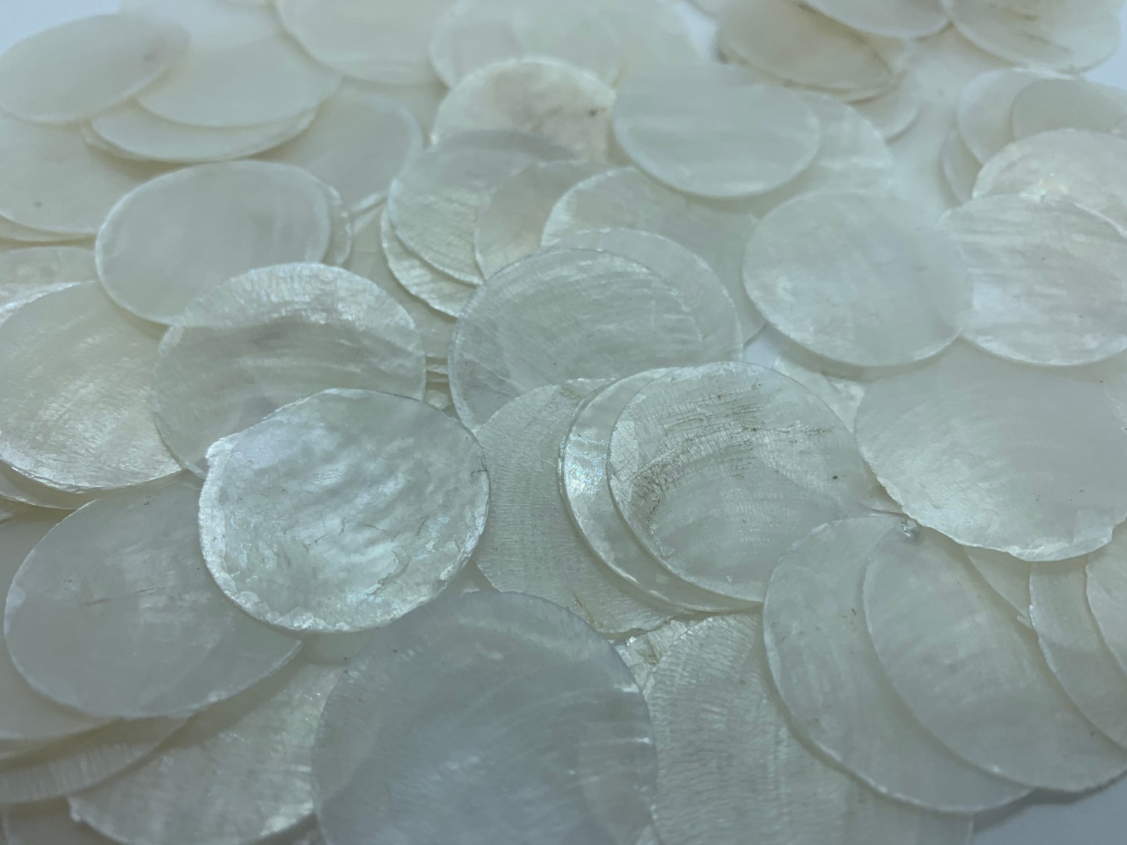 Capiz Shells Round 1
