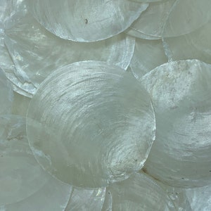 May include: A pile of white iridescent mother of pearl shell discs. The shells are smooth and have a subtle shimmer.