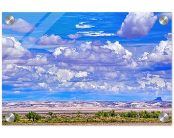 Acrylic Print Painted Desert 1 Photo Art Wall Decor