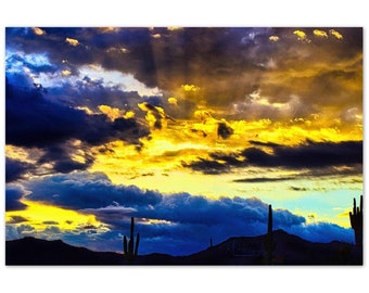 Aluminum Print Sonoran Sunset 9 Wall Decor