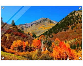 Acrylic Print Colorado Colors 4 Photo Art Wall Decor