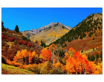 Aluminum Print Colorado Colors 4 Photo Art Wall Decor