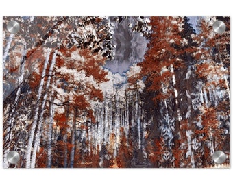 Acrylic Print Fall Colors 2 Photo Art Wall Decor