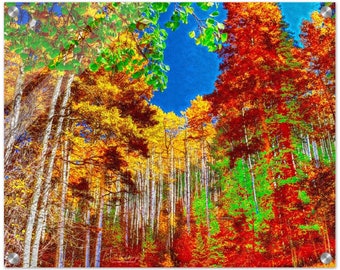 Acrylic Print Colorful Fall Trees 2 Photo Art Wall Decor