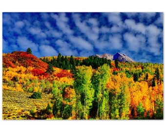 Aluminum Print Colorado Colors 2 Photo Art Wall Decor