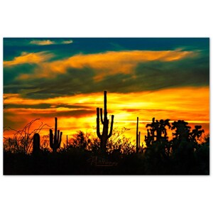 Aluminum Print Saguaro Sunset Wall Decor