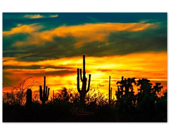 Aluminum Print Saguaro Sunset Wall Decor