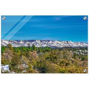 Acrylic Print Snowy Arizona Mogollon Rim Photo Wall Decor