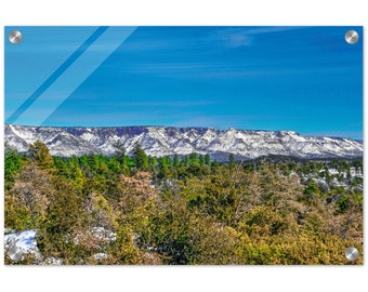 Acrylic Print Snowy Arizona Mogollon Rim Photo Wall Decor