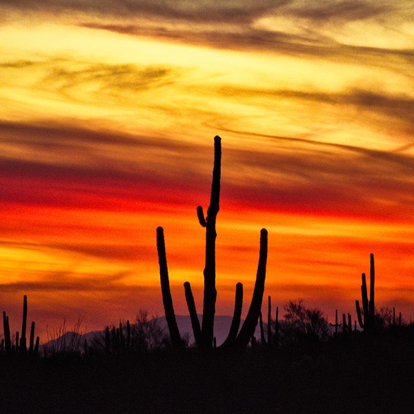 Digital Photo Download Sonoran Sunset #3