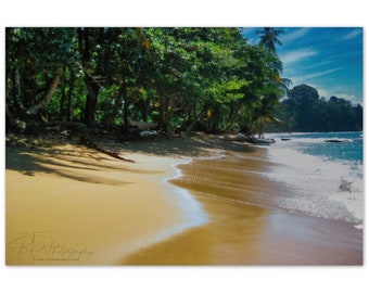 Aluminum Print Amazing Costa Rica Beach Scene from Punta Uva, Photo Art Wall Decor