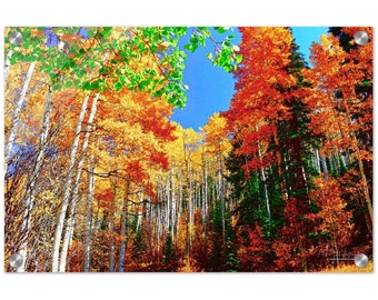 Acrylic Print Colorado Colors 3 Photo Art Wall Decor