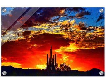Acrylic Print Saguaro Silhouette Wall Decor