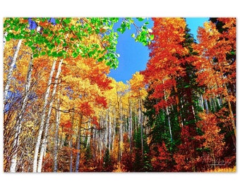 Aluminum Print Colorado Colors 3 Photo Art Wall Decor