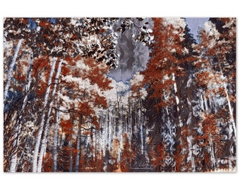 Aluminum Print Fall Colors 2 Photo Art Wall Decor