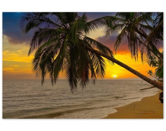 Aluminum Print Costa Rican Beach Sunset Punta Uva 3 Phot Art Wall Decor