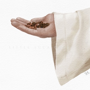 Op de afbeelding: Een hand, met een witte mouw, houdt een stapel bruine koffiebonen vast.