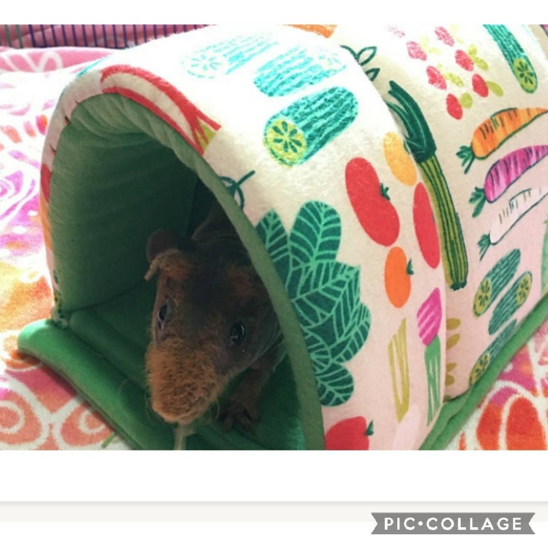 Guinea Pig Fleece Tunnel removable potty pad Play Tunnel for Etsy