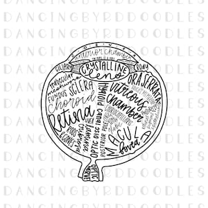 Könnte beinhalten: Eine Schwarzweißillustration des menschlichen Auges mit Beschriftungen für die verschiedenen Teile des Auges, darunter Hornhaut, Vorderkammer, Linse, Glaskörper, Netzhaut, Makula und Sehnerv.