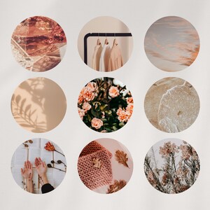 60 Instagram Story Highlight Icons, Highlight Covers, Canva Templates, Soft Pink, Rose Gold, stylish aesthetic, PLR & MRR Commercial Use
