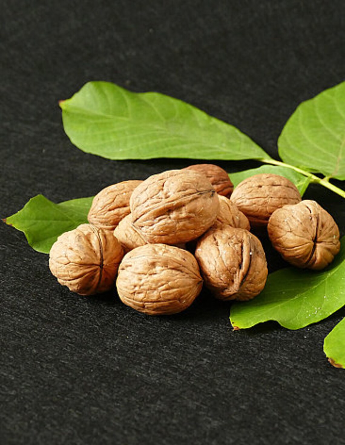 Armenian Black Walnut Leaf Tea, All Natural, GMO Free, No Fragrance, No