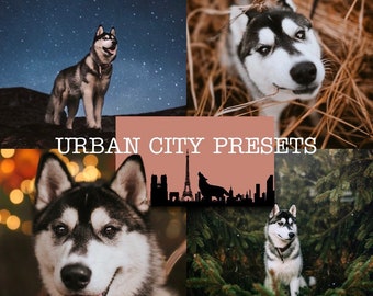 Urban City Presets