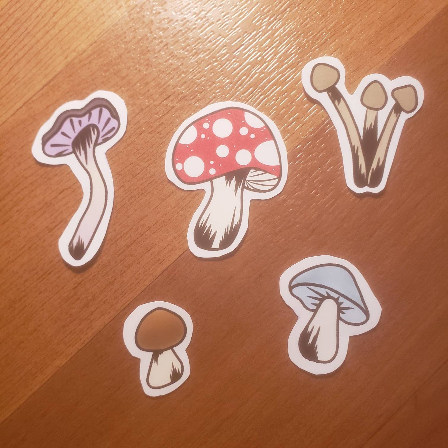 Paquete de pegatinas de cinco hongos Etsy