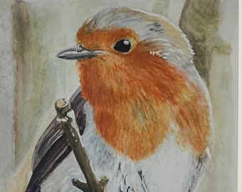 Robin, Giclee print of original watercolor painting