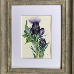 Thistle - original watercolor and prints