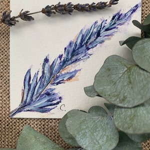 Lavender original watercolor painting and prints