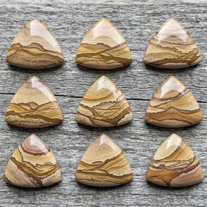 Op de afbeelding: Negen gepolijste, driehoekige edelstenen met een gelaagd patroon in beige, bruin en crème. Ze zijn gerangschikt in een raster op een verweerd, grijs houten oppervlak. De edelstenen hebben een gladde, glanzende afwerking.