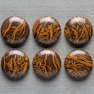 Pode incluir: Dez cabochões circulares feitos de pedra castanha com padrões dendríticos amarelo-dourados distintos e ramificados. Cada peça apresenta uma superfície abobadada, lisa e polida com inclusões orgânicas únicas em forma de árvore.