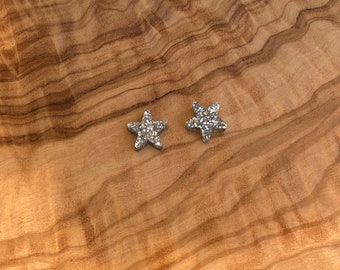 Silver Star Earring Studs