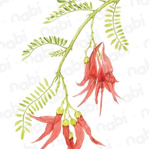 May include: A watercolor painting of a branch with green leaves and red flowers. The flowers are long and thin, with a pointed tip. The branch is thin and has thorns.