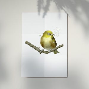 Aves nativas de Nueva Zelanda 'Tauhou'(Waxeyes), Acuarela, Impresiones de carteles de arte, Alta resolución digital, DESCARGA INSTANTE A3 (jpeg)
