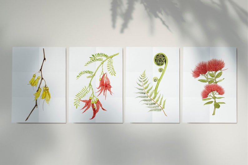 May include: Four watercolor paintings of New Zealand native plants. The first painting shows a branch of kowhai flowers with yellow blossoms. The second painting shows a branch of New Zealand native kowhai flowers with red blossoms. The third painting shows a fern with a curled frond. The fourth painting shows a pohutukawa flower with red blossoms.