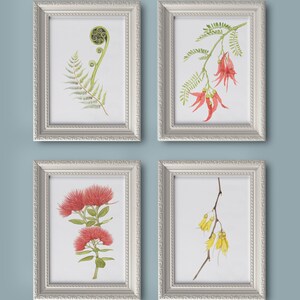 May include: Four framed botanical prints featuring native New Zealand flora. The prints depict a green fern frond, a branch of red kowhai flowers, a branch of yellow kowhai flowers, and a branch of pohutukawa flowers.