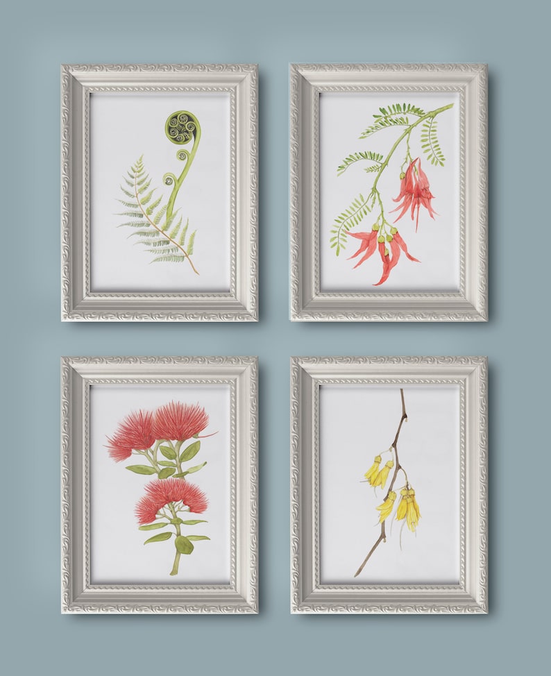 May include: Four framed botanical prints featuring native New Zealand flora. The prints depict a green fern frond, a branch of red kowhai flowers, a branch of yellow kowhai flowers, and a branch of pohutukawa flowers.
