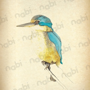 A4 vintage style printable art watercolour New Zealand native bird kingfisher living room deco digital high resolution INSTANT DOWNLOAD