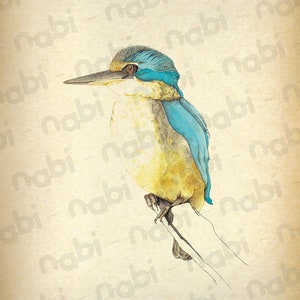 Kingfisher Watercolour Painting: Vintage Style New Zealand Botanical Art Printing (Digital Download A3)