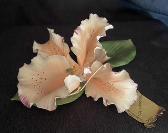 Capodimonte Orchid