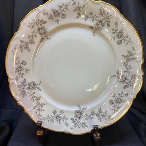 Rare Find Hutschenreuther China Woodrose Plate