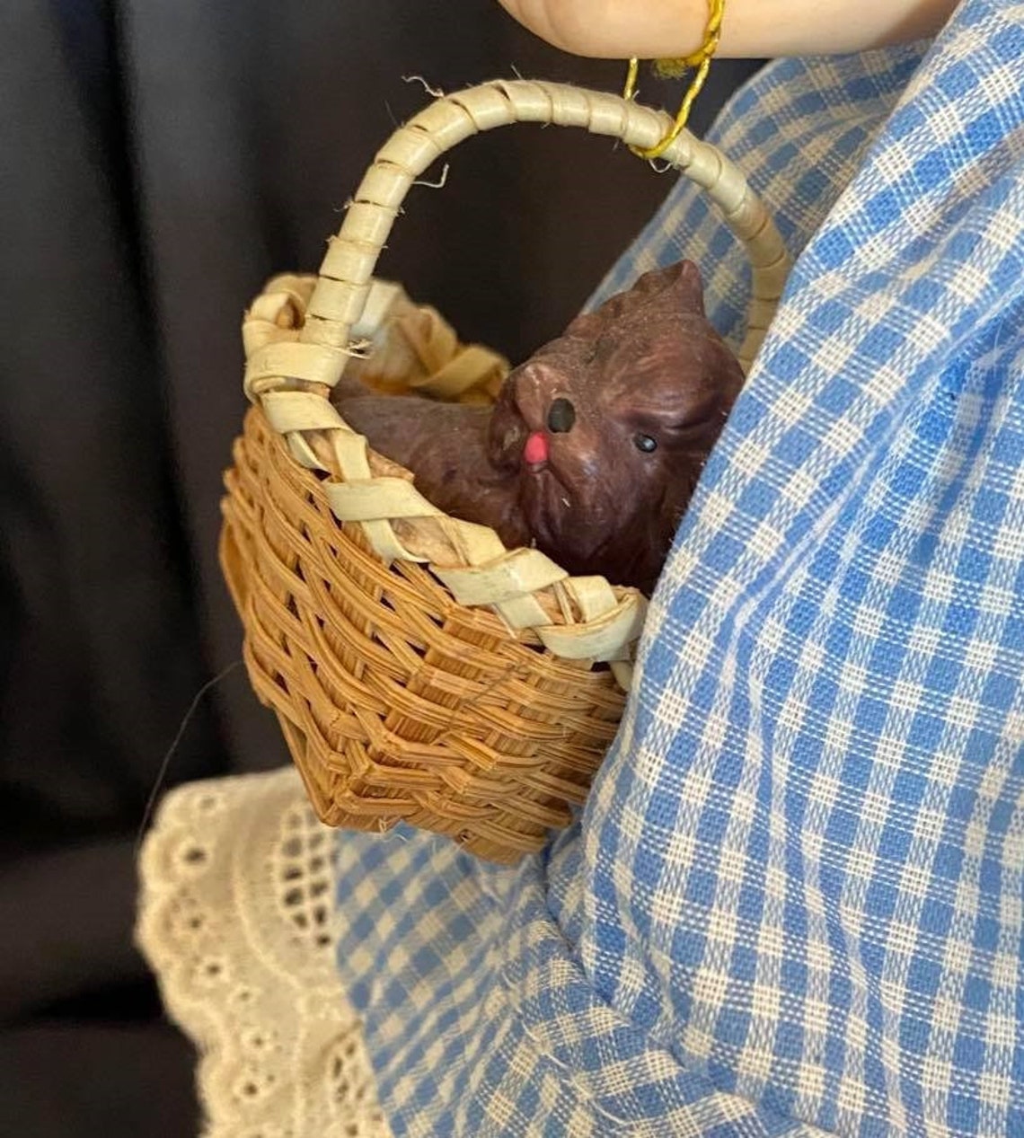 Barbie as Dorothy Wizard of Oz Musical - Etsy