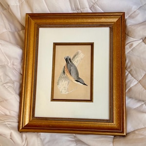 Op de afbeelding: Een ingelijst kunstwerk met een gedetailleerde illustratie van een boomklever die op een getextureerde boomtak zit. Het werk is gevat in een decoratieve goudkleurige lijst met een crèmekleurige passe-partout, die het grijze en oranje verenkleed benadrukt.