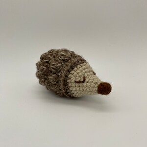 Baby Hedgehog in Walnut Stonewash