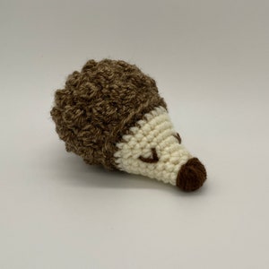 Baby Hedgehog in Desert Dust