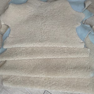 Genuine sheepskin rug, upholstery sheepskin, off white, short fur shearling, fur sheepskin, curly sheepskin, chair cover,3,3 x 2,3 ft image 8