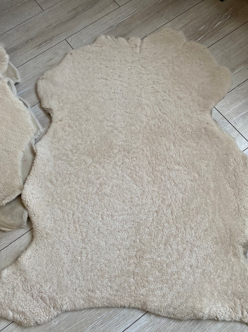 Genuine sheepskin rug, upholstery sheepskin, off white, short fur shearling, fur sheepskin, curly sheepskin, chair cover,3,3 x 2,3 ft image 5